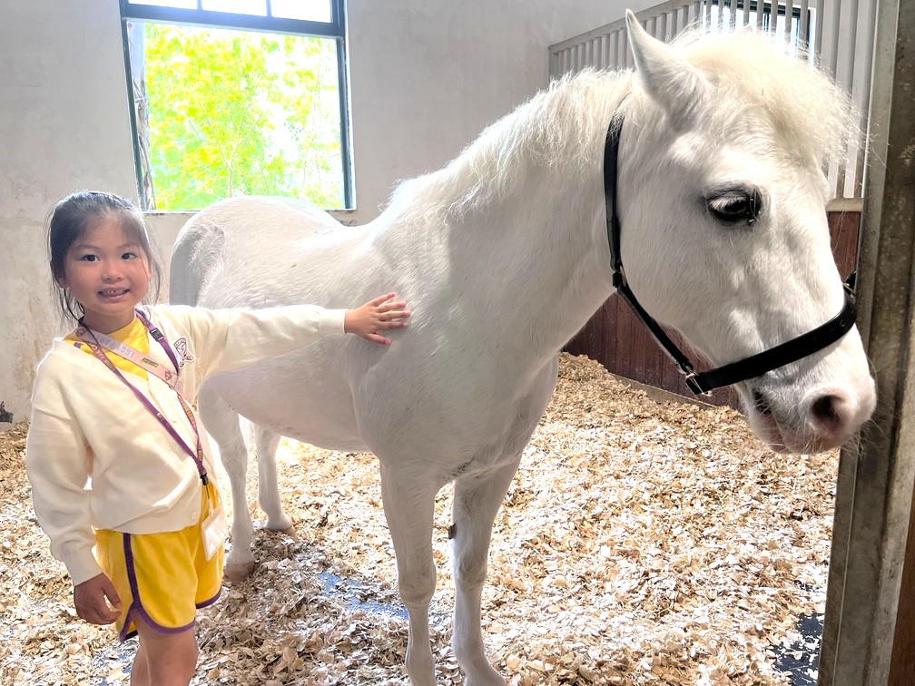 K3戶外學習日－參觀香港賽馬會屯門公眾騎術學校 K3 Outdoor Learning Day – Visit the Hong Kong Jockey Club Tuen Mun Public Riding School (25-26)